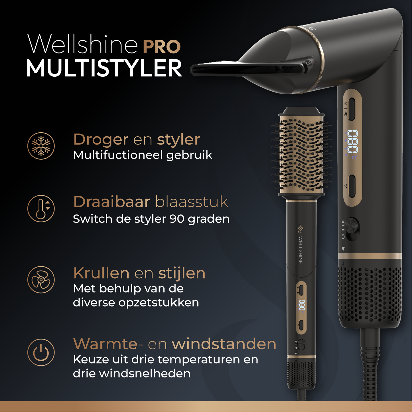 Wellshine Multistyler Pro