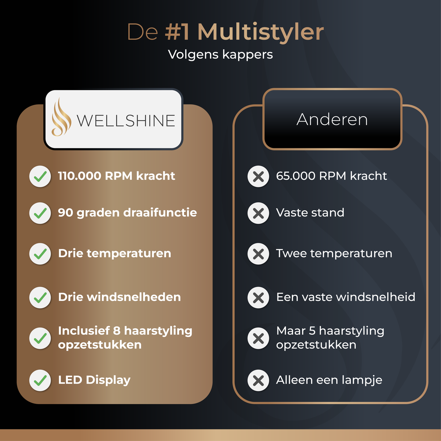 Wellshine Multistyler Pro