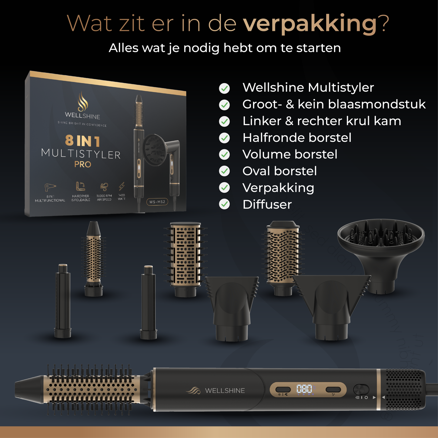 Wellshine Multistyler Pro