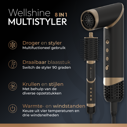 Wellshine Multistyler Pro II