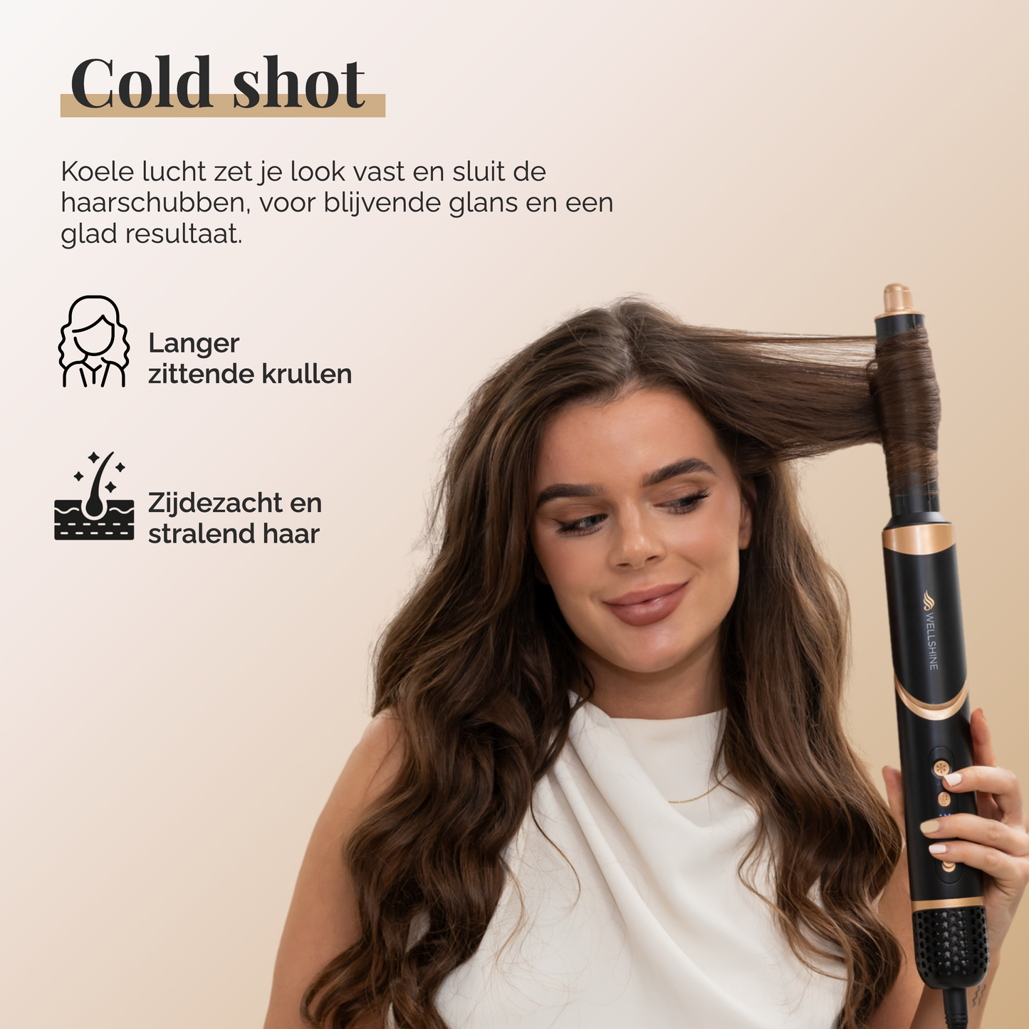 Wellshine Multistyler Pro II