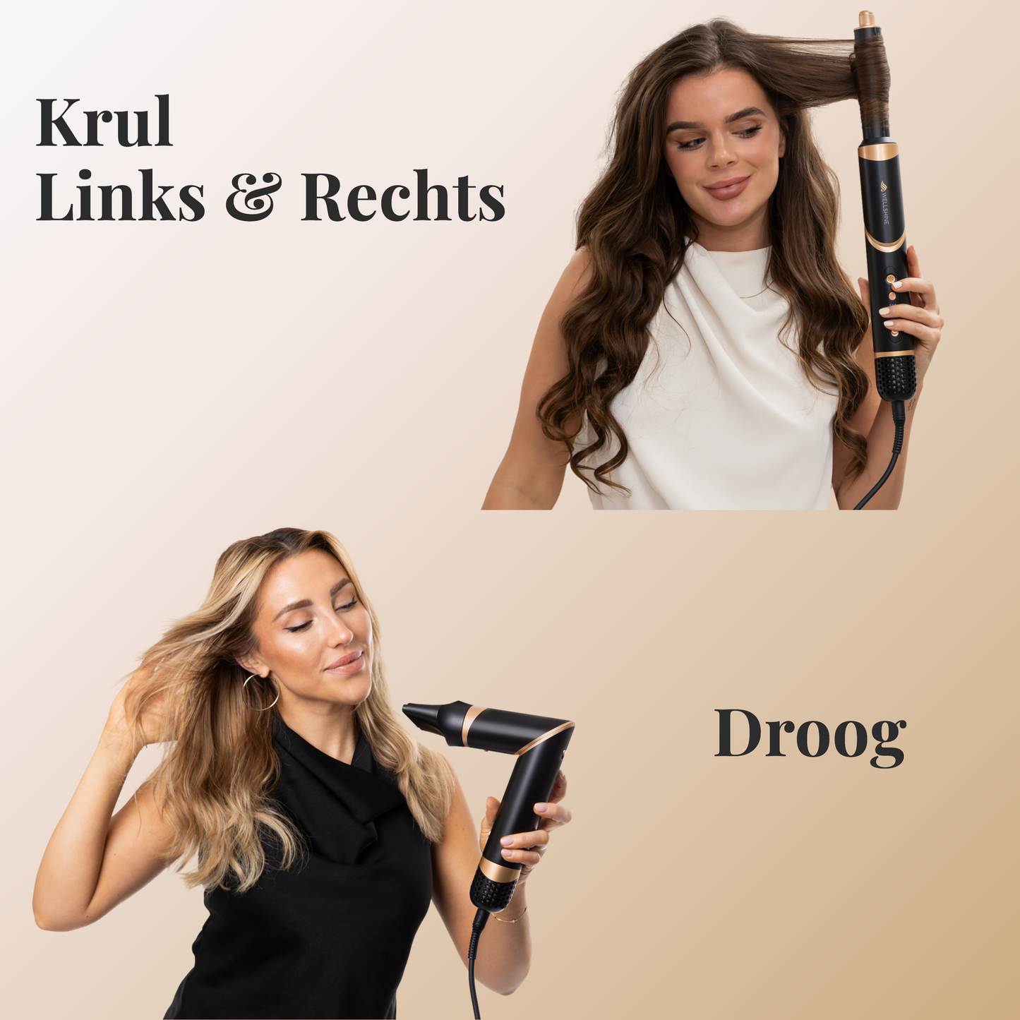 Wellshine Multistyler Pro II